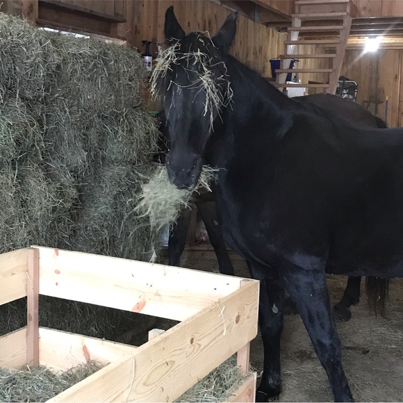 Meet your Posher, Christina - Picture 9 of 9